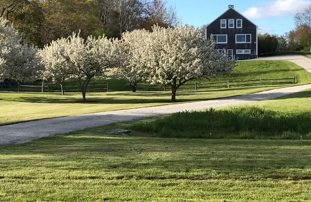 Three acre farm house with water view and contemporary furnishings.