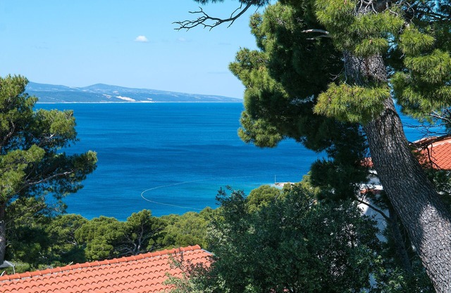 Three bedroom apartment with terrace and sea view Brela, Makarska (A-2717-b)