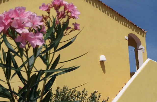 THREE-ROOM APARTMENT AIR CONDITIONED PANORAMIC 400 mt sea Vignola Sea village with swimming pool