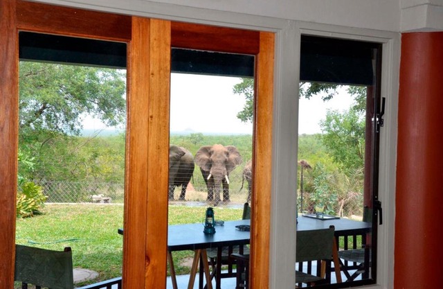 Tingala Lodge - Bed in the Bush