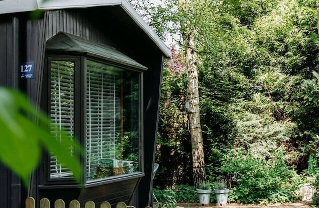Tiny Cabin Mae on the Veluwe