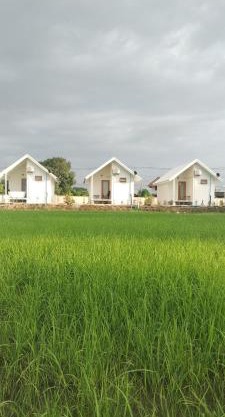 Tiny house homestay T2 unused