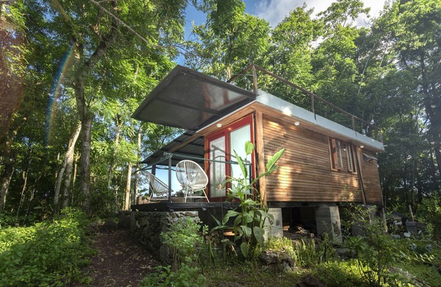 Tiny house surrounded by a cedar forest!