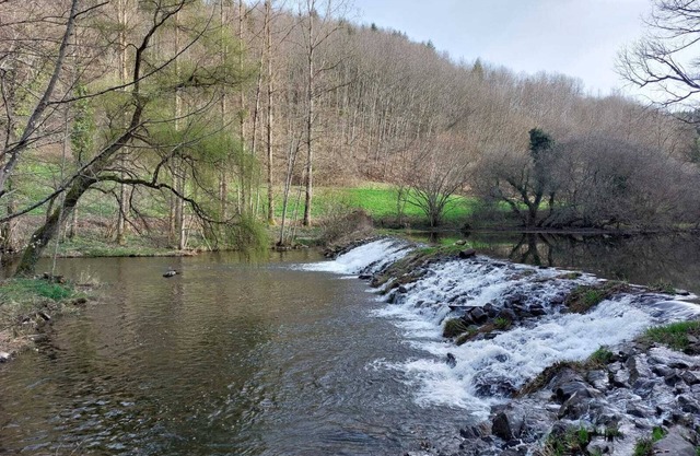 Tiny Moulin de Serre