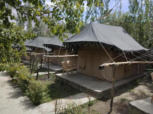 Tongspon Camp Nubra