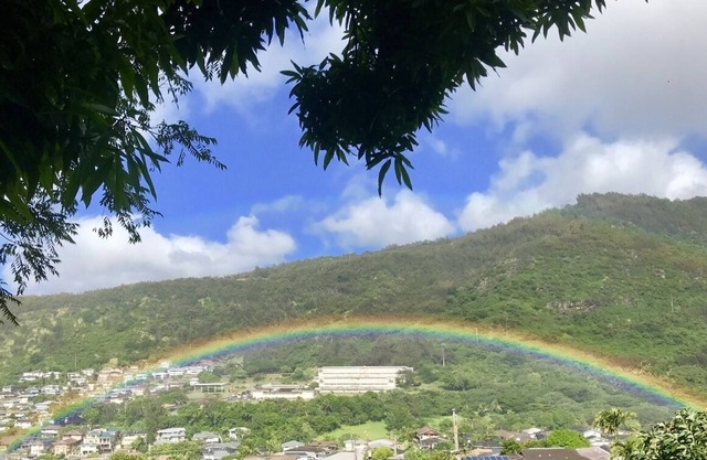 Top of the Hill. Honolulu 2 bedrooms beautiful Mountain View