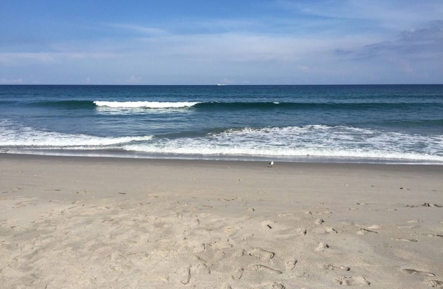 Top Rated Beach Area Gem with Free Parking, Walk to Shops, Restaurants & Beach!