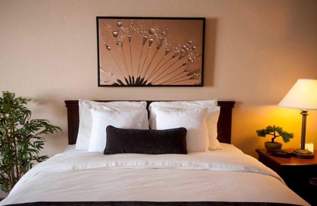 Town & Country Inn and Suites