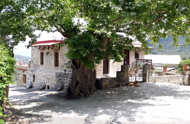 Traditional house koukounara