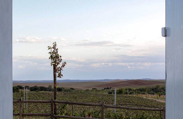 Traditional house located inside an biodynamic tea farm, 20km from Évora.n
