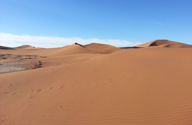 Traditional room in a palm oasis