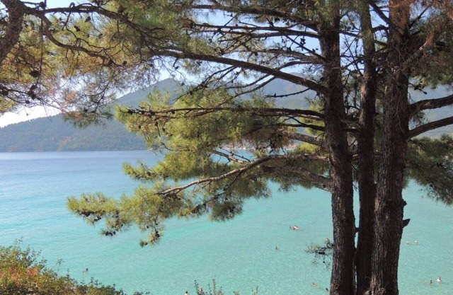 Traditional Villa with Wifi and Air Conditioning at only 150m from the Beach !