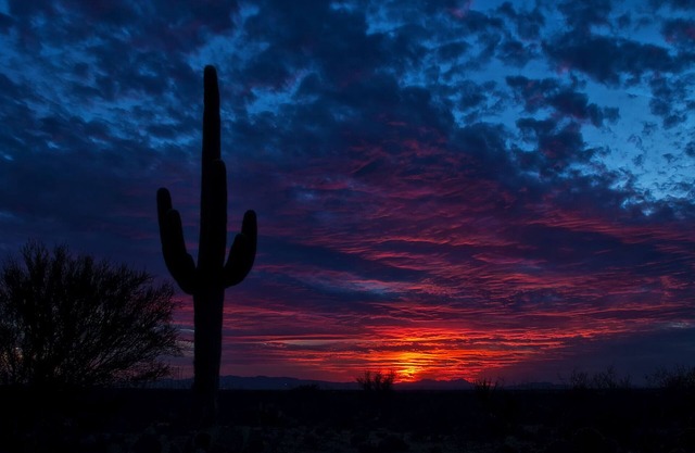 Tranquil Bell tent near Tucson