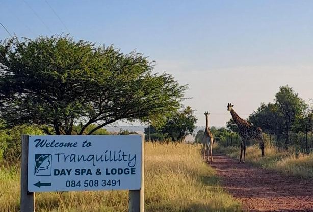 Tranquillity Day Spa & Lodge