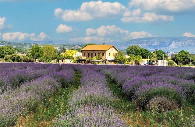 Transform your Travel at Denver Marriott Tech Center