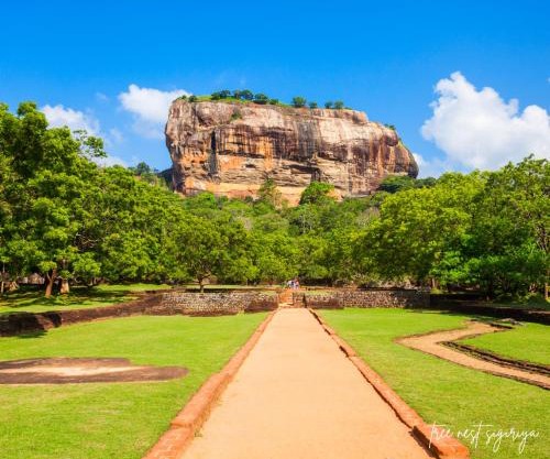 Tree Nest Sigiriya