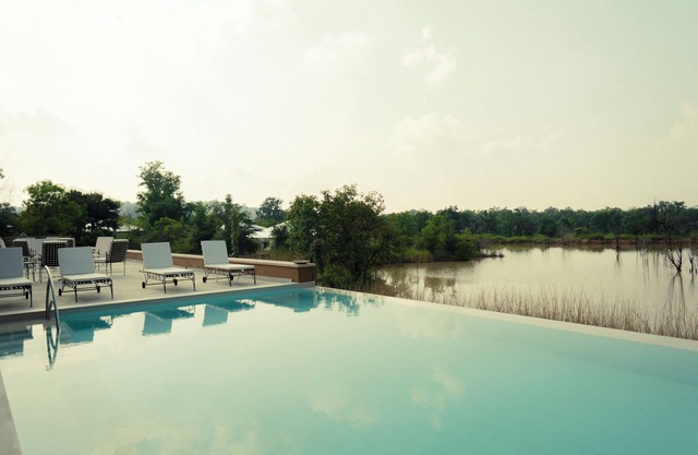 Tree of Life Ramvilas Bandhavgarh