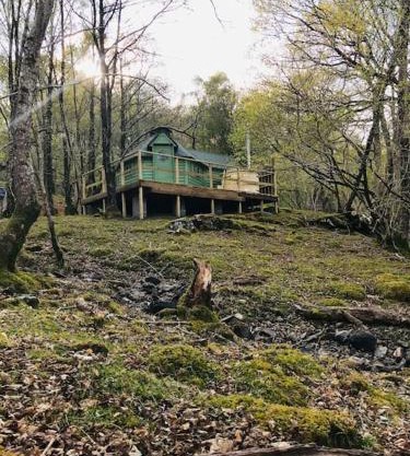 Tree Top Cabin with Private Hot Tub