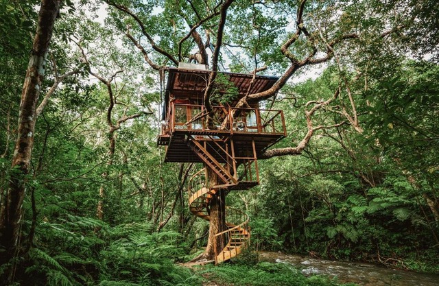 Treeful Treehouse Sustainable Resort