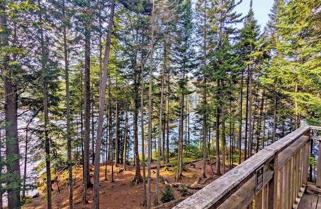 Treehouse #03 (Lakefront)