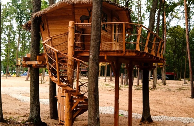 Treehouse 1 by Interhome