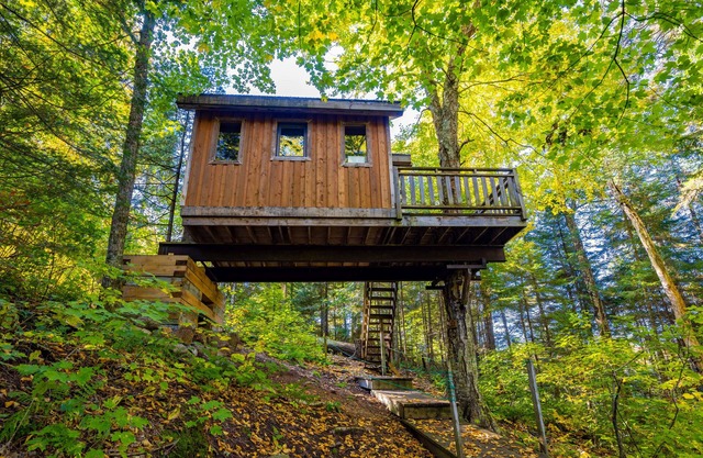 Treehouse #10 (Lakefront)