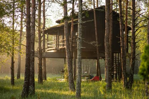Treehouseestonia