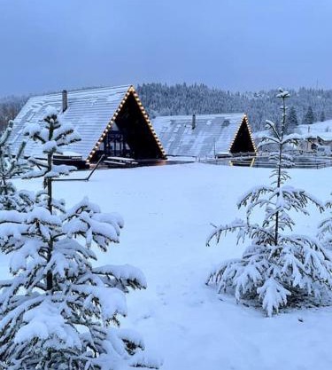 Treeline Cabins