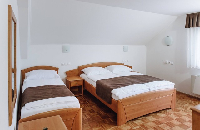 Triple Room with Balcony 111