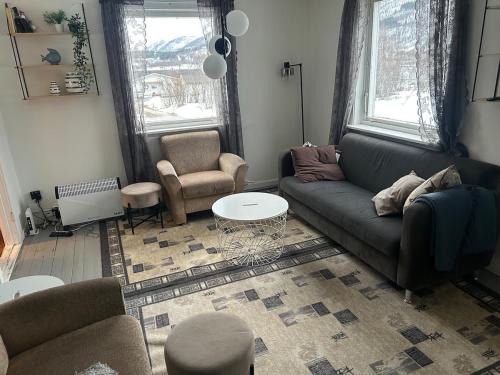 Tromsø, Lyngen, aurora borealis, ski, fishing