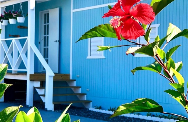 Tropical Private Beach Studio Apt #2 @ Jobos Beach