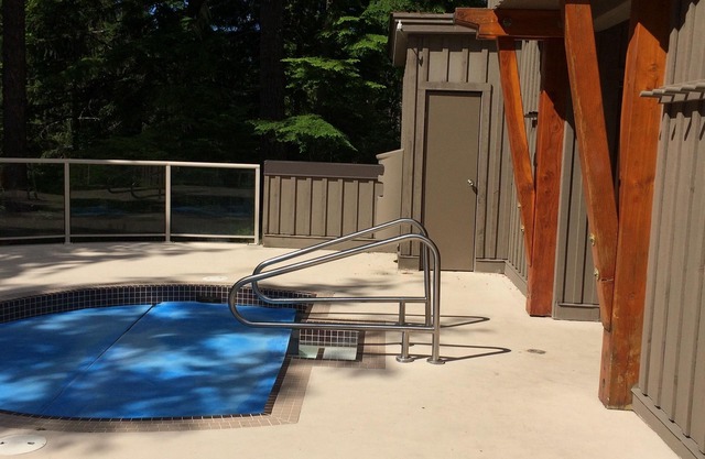 True Ski-in/Ski-out. Updated. Blackcomb. Sunny! Sleeps 4.
