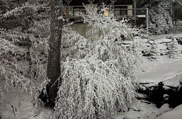 True Ski-in Ski-out Luxury Rental Home on Beech Mountain