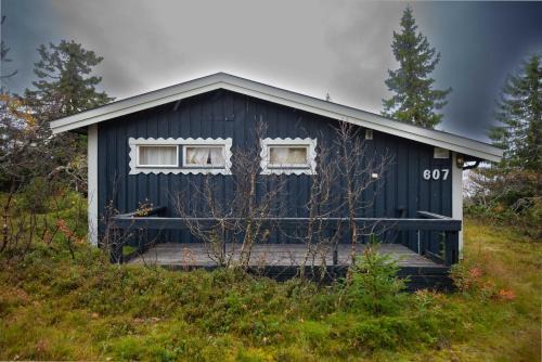 Trysilfjellet Nord 607