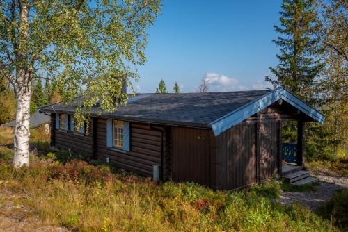 Trysilfjellet Sør 204