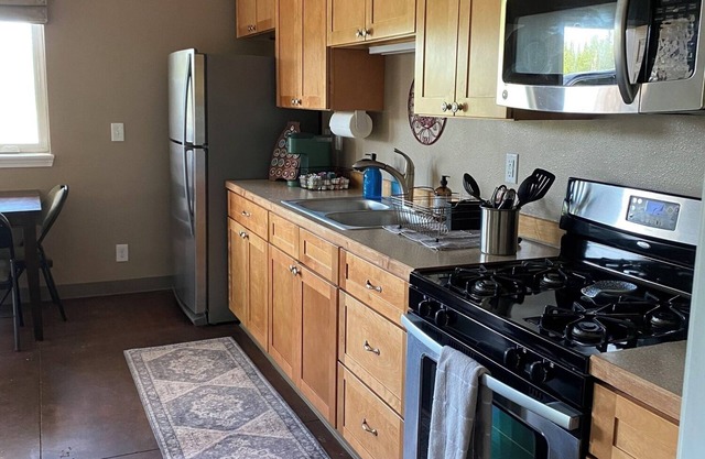 Tundra Apt #1-Modern Comfort in the Last Frontier (For families or casual travelers)