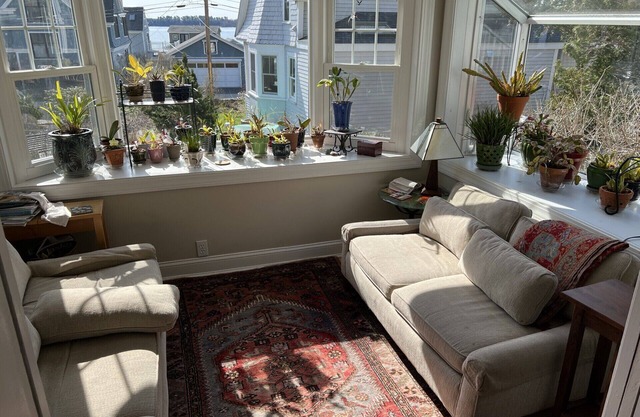 Turning Point Cottage with Ocean View