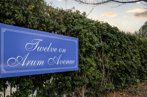 Twelve on Arum