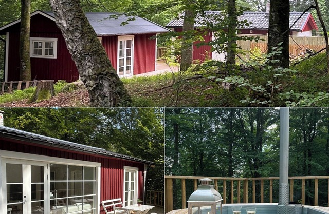 Two beautiful smaller houses with boat in a natural setting on Lursjön