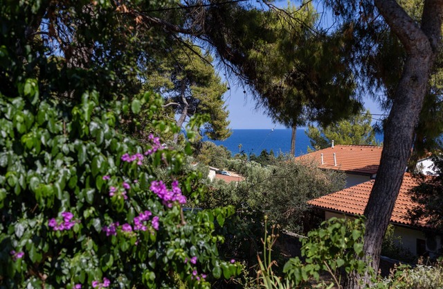 Two bedroom apartment with terrace and sea view Zavala, Hvar (A-8710-b)