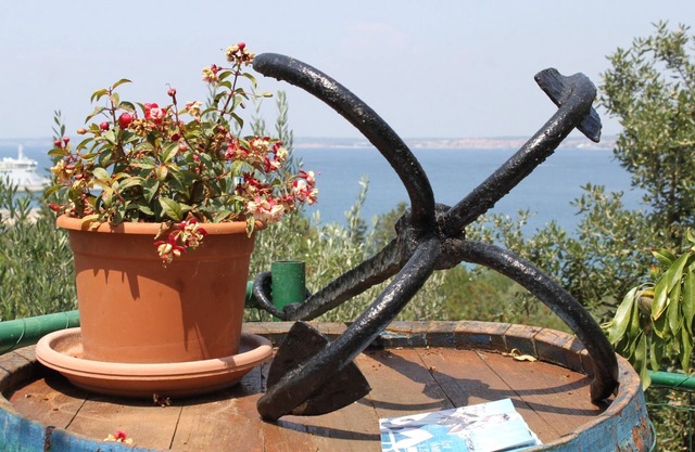 Two bedroom apartment with terrace and sea view Kali, Ugljan (A-834-a)