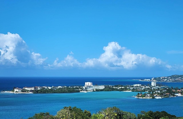 Two Bedroom cottage overlooking the city of Montego Bay Jamaica. Great View!