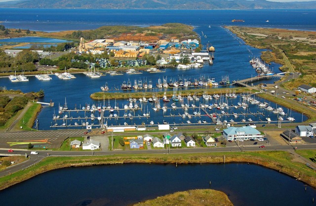 Two Family-Friendly Units! Pool, Attractions and Sauna
