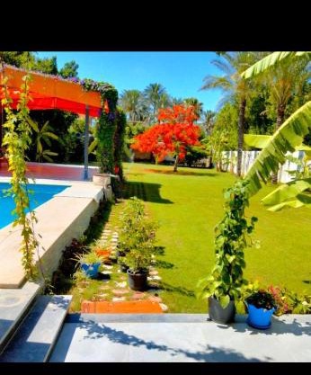 two pools villa for families and singles