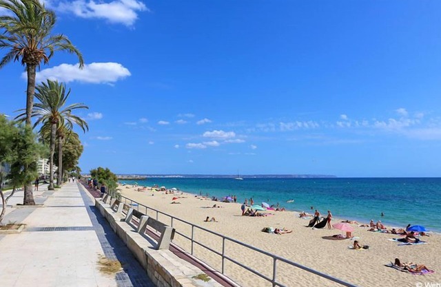 Two Relaxing Units, Pet-friendly Property! Close to Castell de Bellver!