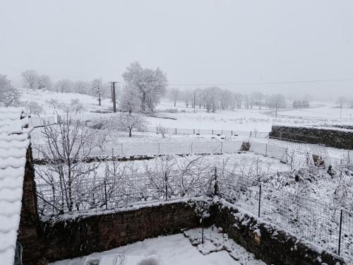 Un petit nid à la campagne