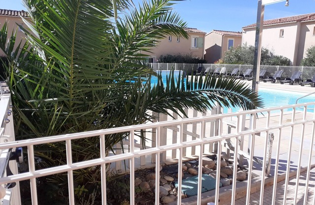 Under the Alpilles sun