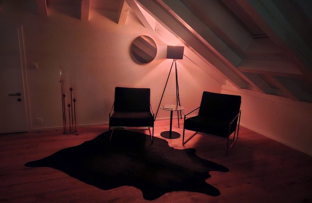 UNIQUE APARTMENT FOR ADULTS