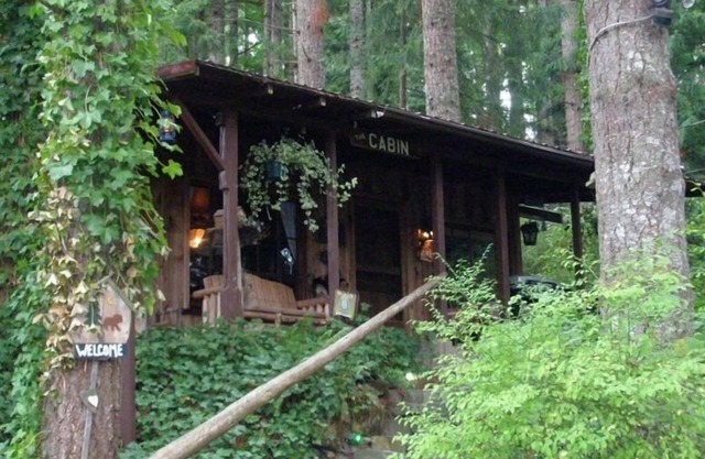 Unique Cabin in the Woods Near Mount St. Helens