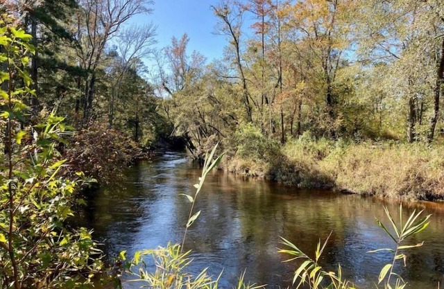 Unique Creekside 2 acre property in Hope Mills, NC